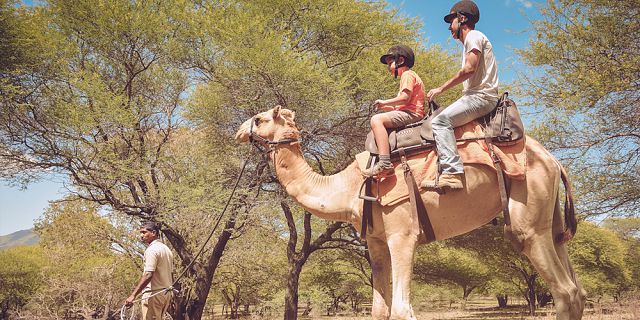 Camel ride activities  (1)